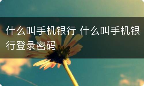 什么叫手机银行 什么叫手机银行登录密码
