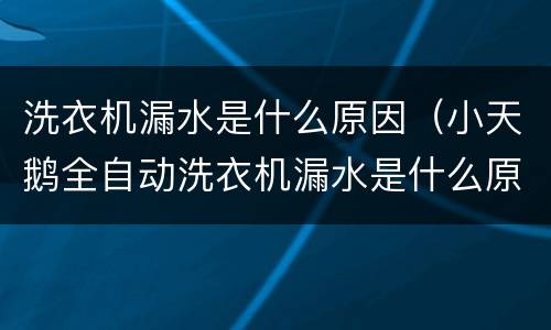 洗衣机漏水是什么原因（小天鹅全自动洗衣机漏水是什么原因）