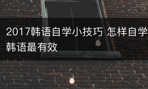 2017韩语自学小技巧 怎样自学韩语最有效