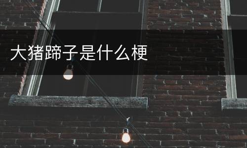 大猪蹄子是什么梗