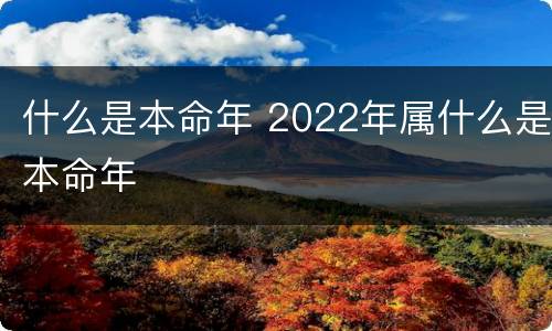 什么是本命年 2022年属什么是本命年