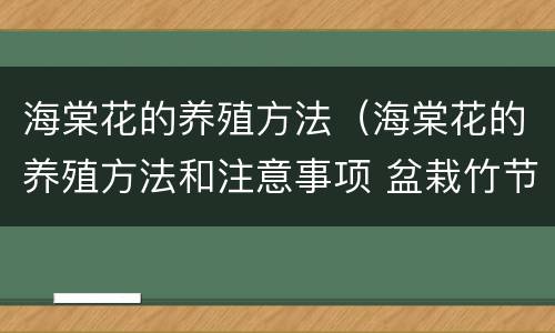 海棠花的养殖方法（海棠花的养殖方法和注意事项 盆栽竹节）