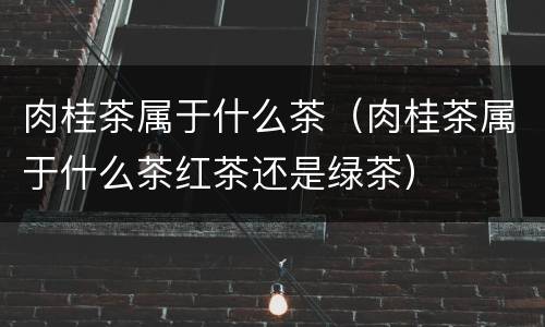 肉桂茶属于什么茶（肉桂茶属于什么茶红茶还是绿茶）