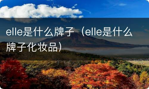 elle是什么牌子（elle是什么牌子化妆品）