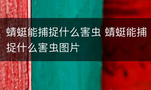蜻蜓能捕捉什么害虫 蜻蜓能捕捉什么害虫图片
