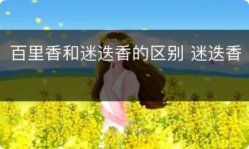 百里香和迷迭香的区别 迷迭香