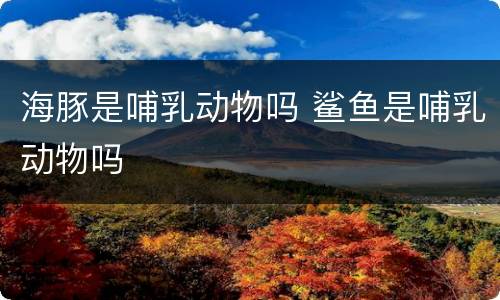 海豚是哺乳动物吗 鲨鱼是哺乳动物吗