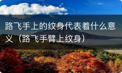 路飞手上的纹身代表着什么意义（路飞手臂上纹身）