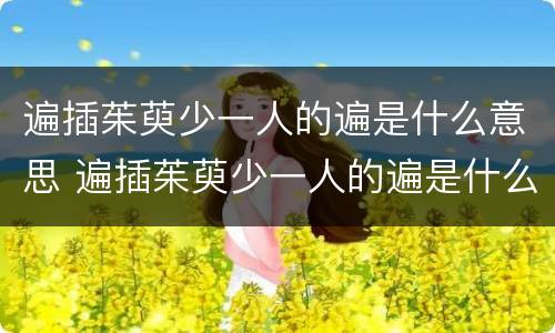 遍插茱萸少一人的遍是什么意思 遍插茱萸少一人的遍是什么意思?