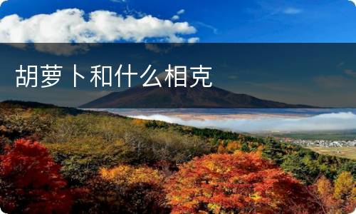 胡萝卜和什么相克