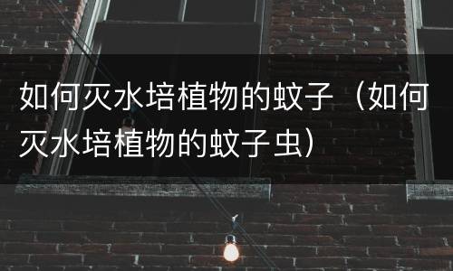 如何灭水培植物的蚊子（如何灭水培植物的蚊子虫）