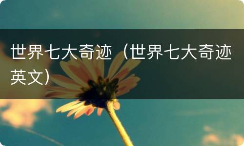 世界七大奇迹（世界七大奇迹英文）