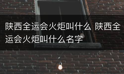 陕西全运会火炬叫什么 陕西全运会火炬叫什么名字