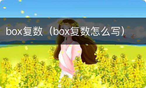 box复数（box复数怎么写）