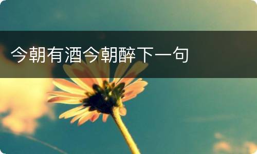 今朝有酒今朝醉下一句