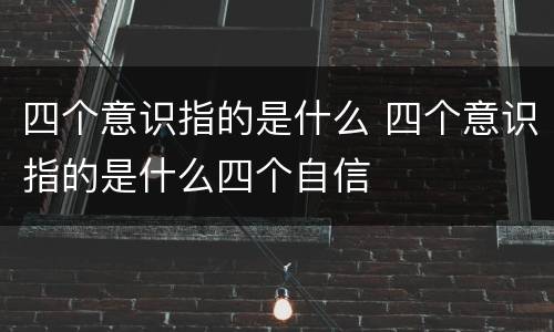 四个意识指的是什么 四个意识指的是什么四个自信
