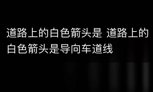 道路上的白色箭头是 道路上的白色箭头是导向车道线