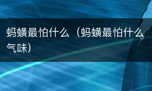 蚂蟥最怕什么（蚂蟥最怕什么气味）