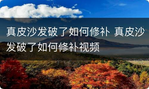 真皮沙发破了如何修补 真皮沙发破了如何修补视频