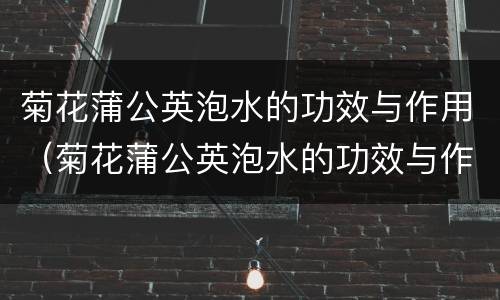 菊花蒲公英泡水的功效与作用（菊花蒲公英泡水的功效与作用禁忌）