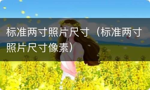 标准两寸照片尺寸（标准两寸照片尺寸像素）