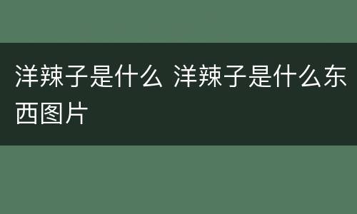 洋辣子是什么 洋辣子是什么东西图片