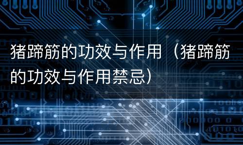 猪蹄筋的功效与作用（猪蹄筋的功效与作用禁忌）