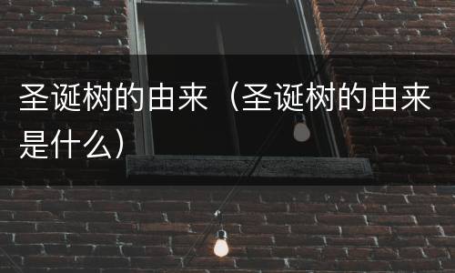 圣诞树的由来（圣诞树的由来是什么）