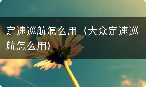 定速巡航怎么用（大众定速巡航怎么用）