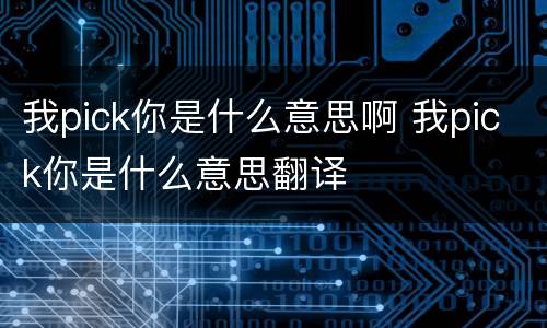我pick你是什么意思啊 我pick你是什么意思翻译