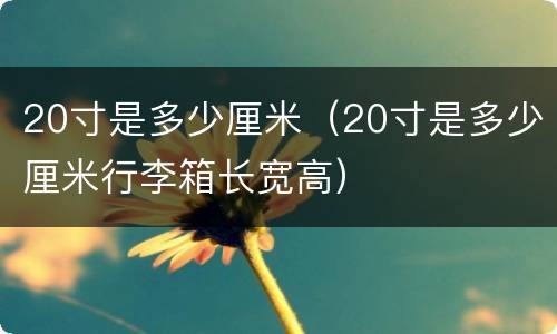 20寸是多少厘米（20寸是多少厘米行李箱长宽高）