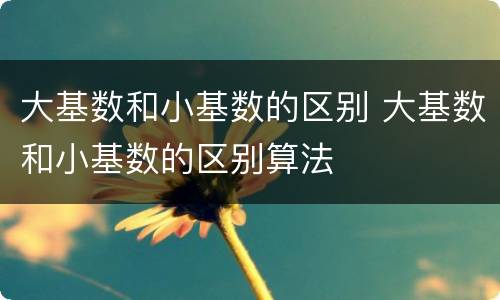 大基数和小基数的区别 大基数和小基数的区别算法