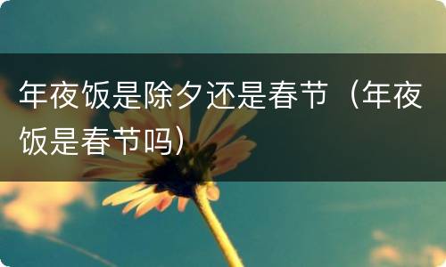 年夜饭是除夕还是春节（年夜饭是春节吗）