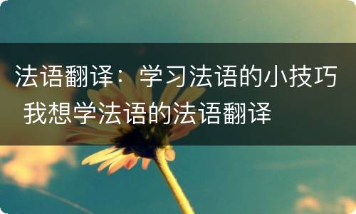 法语翻译：学习法语的小技巧 我想学法语的法语翻译