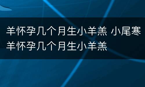 羊怀孕几个月生小羊羔 小尾寒羊怀孕几个月生小羊羔