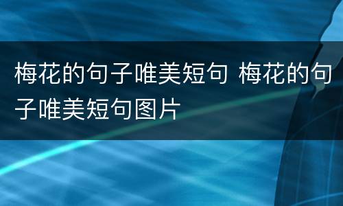 梅花的句子唯美短句 梅花的句子唯美短句图片