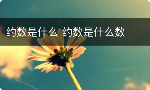 约数是什么 约数是什么数