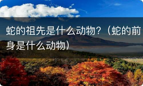 蛇的祖先是什么动物?（蛇的前身是什么动物）