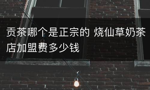贡茶哪个是正宗的 烧仙草奶茶店加盟费多少钱