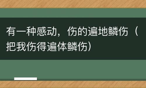 有一种感动，伤的遍地鳞伤（把我伤得遍体鳞伤）