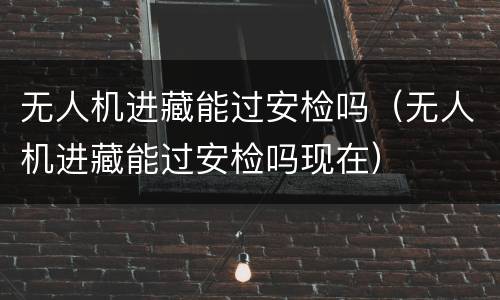 无人机进藏能过安检吗(无人机进藏能过安检吗现在)