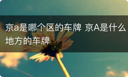 京a是哪个区的车牌 京A是什么地方的车牌