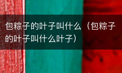 包粽子的叶子叫什么（包粽子的叶子叫什么叶子）