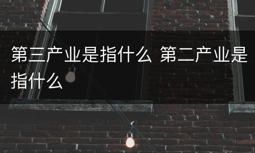 第三产业是指什么 第二产业是指什么