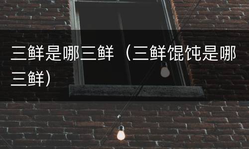 三鲜是哪三鲜（三鲜馄饨是哪三鲜）