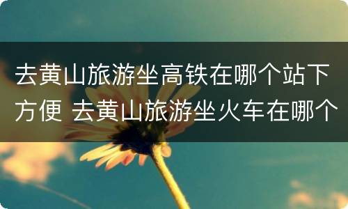 去黄山旅游坐高铁在哪个站下方便 去黄山旅游坐火车在哪个站下方便