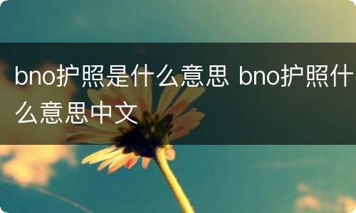 bno护照是什么意思 bno护照什么意思中文