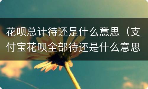花呗总计待还是什么意思（支付宝花呗全部待还是什么意思）