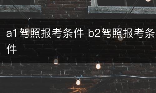 a1驾照报考条件 b2驾照报考条件