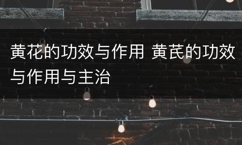 黄花的功效与作用 黄芪的功效与作用与主治